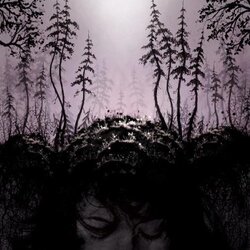 Birds Of Passage This Kindly Slumber