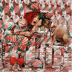 Sia Everyday Is Christmas (Snowman Deluxe Edition) .. Christmas (Snowman Deluxe Edition) VINYL LP