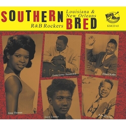 Various I Hate To See You Go - Southern Bred Vol.15 Louisiana & New Orleans R&B Rockers Vinyl LP