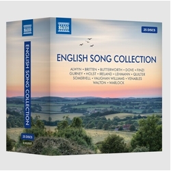 Various English Song Collection Vinyl LP