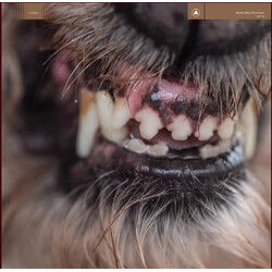 Blanck Mass World Eater Vinyl LP