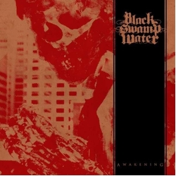 Black Swamp Water Awakening Vinyl LP