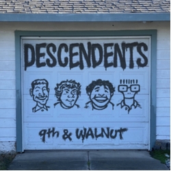 Descendents 9th & Walnut Vinyl LP