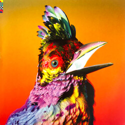 Flume Palaces Vinyl 2 LP