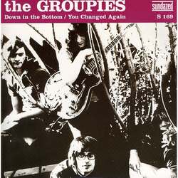 Groupies Down In The Bottom/You + You Changed Again Vinyl 7"