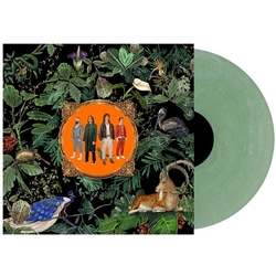Don Broco Amazing Things -Coloured- Things.. / Green Marble Vinyl LP