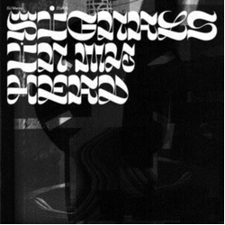 DJ Manny (2) Signals In My Head Vinyl LP
