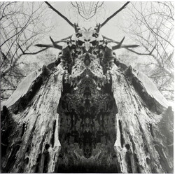 Rulaman To Serve The Dune Vinyl LP