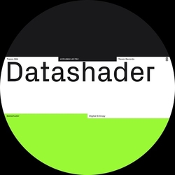 Datashader Digital Entropy VINYL 12"