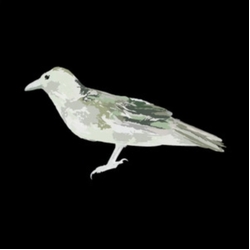 Green Crow Collective Hard Drive Error VINYL LP