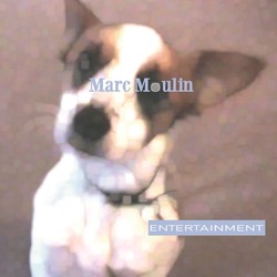 Marc Moulin Entertainment Vinyl LP