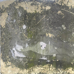 The Telescopes Experimental Health Vinyl LP