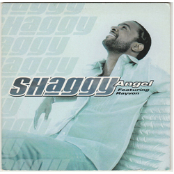 Shaggy / Rayvon Angel Vinyl LP