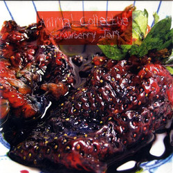 Animal Collective Strawberry Jam Vinyl 2 LP