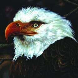 Mogwai The Hawk Is Howling Vinyl 2 LP