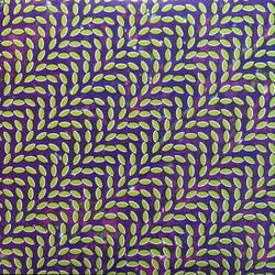 Animal Collective Merriweather Post Pavilion Vinyl 2 LP