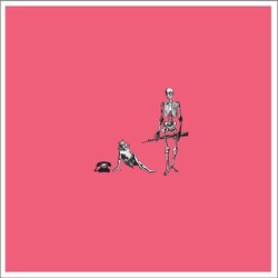 Say Hi To Your Mom Oohs & Aahs Vinyl LP