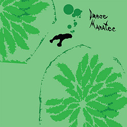Avey Tare / Panda Bear / Geologist Danse Manatee Vinyl LP