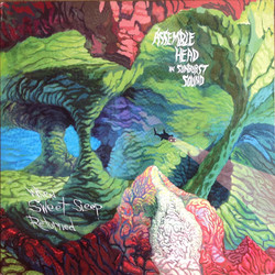 Assemble Head In Sunburst Sound When Sweet Sleep Returned Vinyl LP
