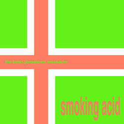 The Brian Jonestown Massacre Smoking Acid Vinyl LP