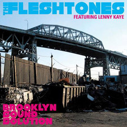 The Fleshtones / Lenny Kaye Brooklyn Sound Solution Vinyl LP
