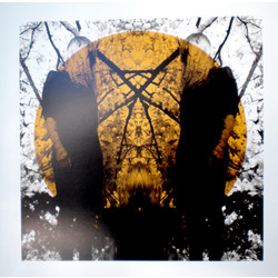 Austra Feel It Break Vinyl LP