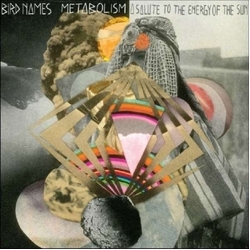 Rhys Chatham Outdoor Spell Vinyl LP