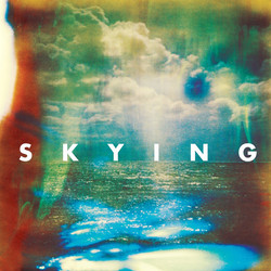 The Horrors Skying Vinyl 2 LP