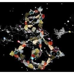 Björk Biophilia Vinyl 2 LP