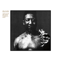 Muddy Waters After The Rain Vinyl LP