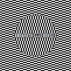 Carter Tutti Void Transverse Vinyl LP