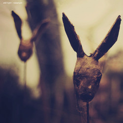 Still Light Rosarium -Lp+Cd- 2X12 + Cd Vinyl LP