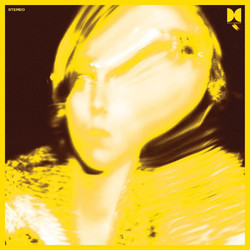 Ty Segall Twins Vinyl LP