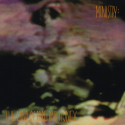 Ministry The Land Of Rape And Honey Vinyl LP