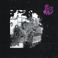 Purling Hiss Water On Mars Vinyl LP
