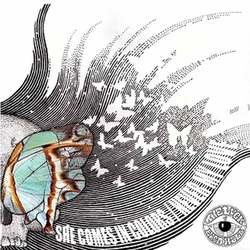 The Luck Of Eden Hall Butterfly Revolutions Vinyl LP
