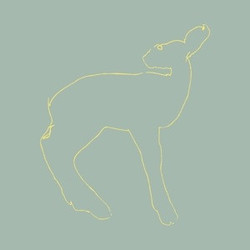 Songs: Ohia Hecla & Griper Vinyl LP