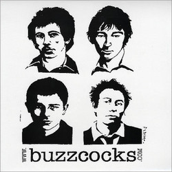 Buzzcocks Secret Publics 'Best In Good Food' Vinyl 2 LP