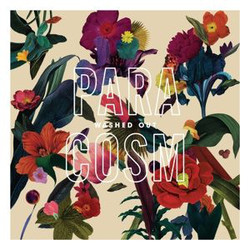 Washed Out Paracosm Vinyl LP