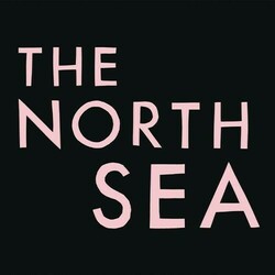 Franz Ferdinand The North Sea Vinyl LP