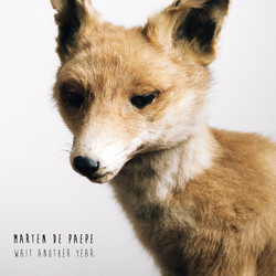 Marten de Paepe Wait Another Year Vinyl LP