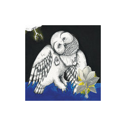 Songs: Ohia The Magnolia Electric Co Vinyl 2 LP