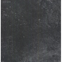 Basic House Oats Vinyl LP