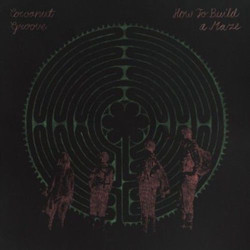 Cocoanut Groove How To Build A Maze Vinyl LP