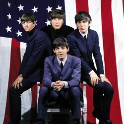 The Beatles The U.S. Albums Vinyl LP
