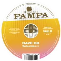 Ricoshëi / Dave DK Perfect Like You / Woolloomooloo Vinyl LP