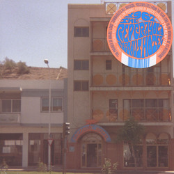 Red Krayola Coconut Hotel Vinyl LP