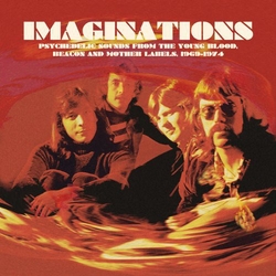Various Imaginations · Psychedelic Sounds From The Young Blood, Beacon And Mother Labels, 1969-1974 Vinyl LP