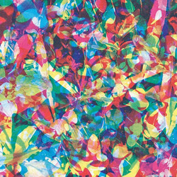 Caribou Our Love Vinyl LP