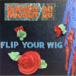 Hüsker Dü Flip Your Wig Vinyl LP